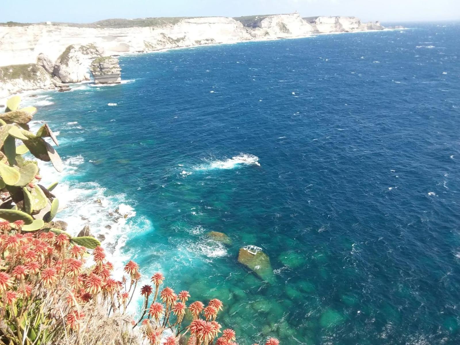Villa Acqua Doria Coti-Chiavari  Esterno foto